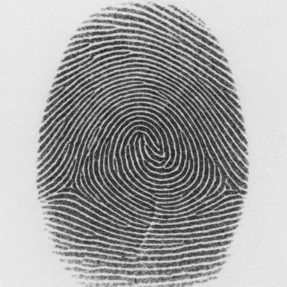 Picture of Fingerprints